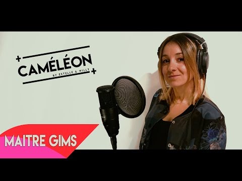 Maître Gims - Caméléon [Estelle & Willy Cover]