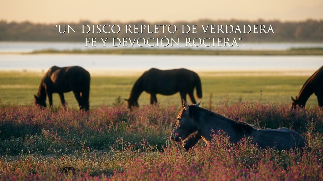 José León presenta 'Cien Pisadas hasta la Aldea' 🎶 - Un homenaje único al Rocío con 96 páginas y 3 CDs de sevillanas inéditas