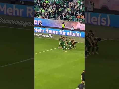 THAT‘S CRAZY🥳💚🤍#VfL Wolfsburg vs #TSG Hoffenheim#Tor Amoura 1. min🔥