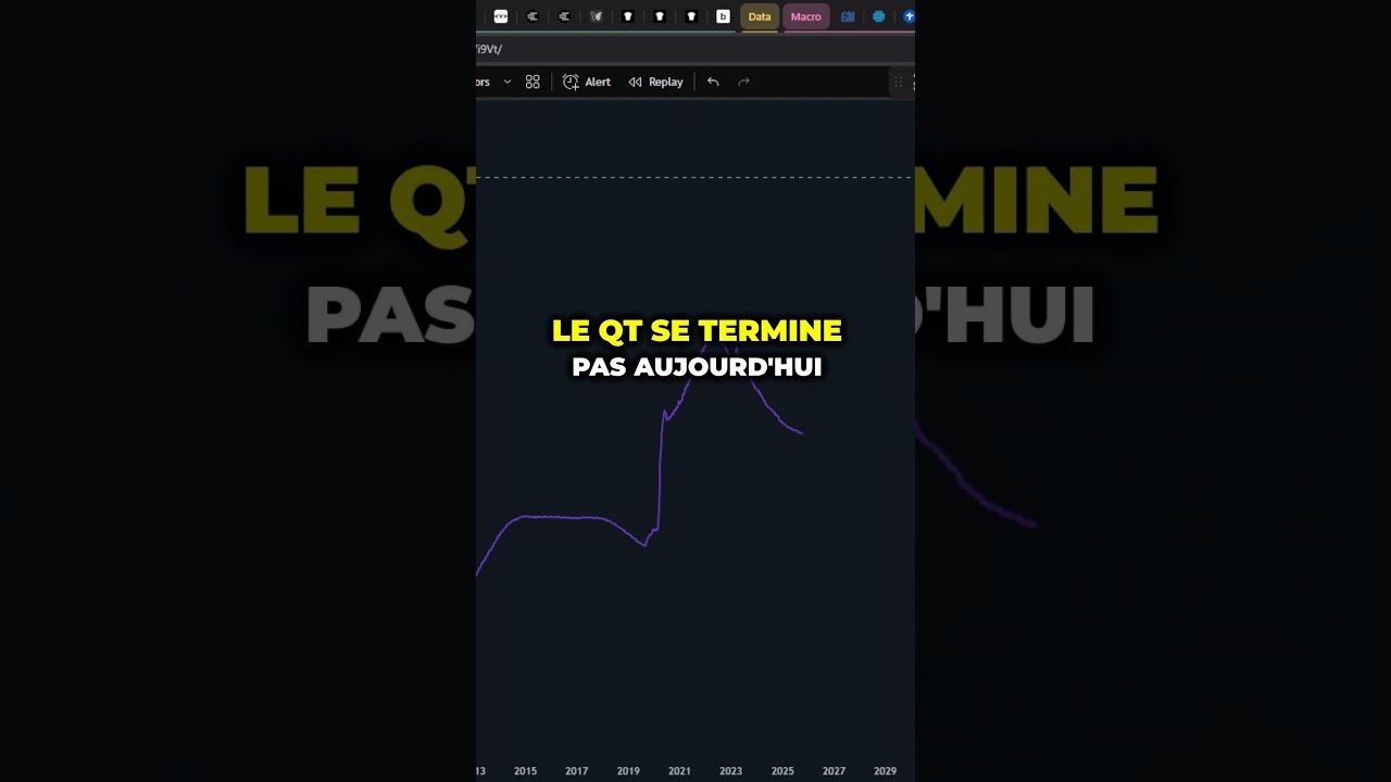 Crise ou Opportunité ? Le Guide Ultime sur les Altcoins et le Bull Run 🚀