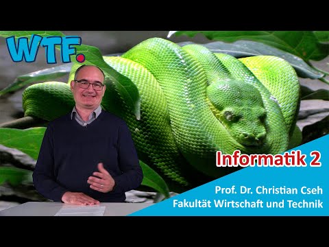 Schlangen und Programmiersprachen haben viel gemeinsam: Informatik 2 Vorlesung in Göppingen