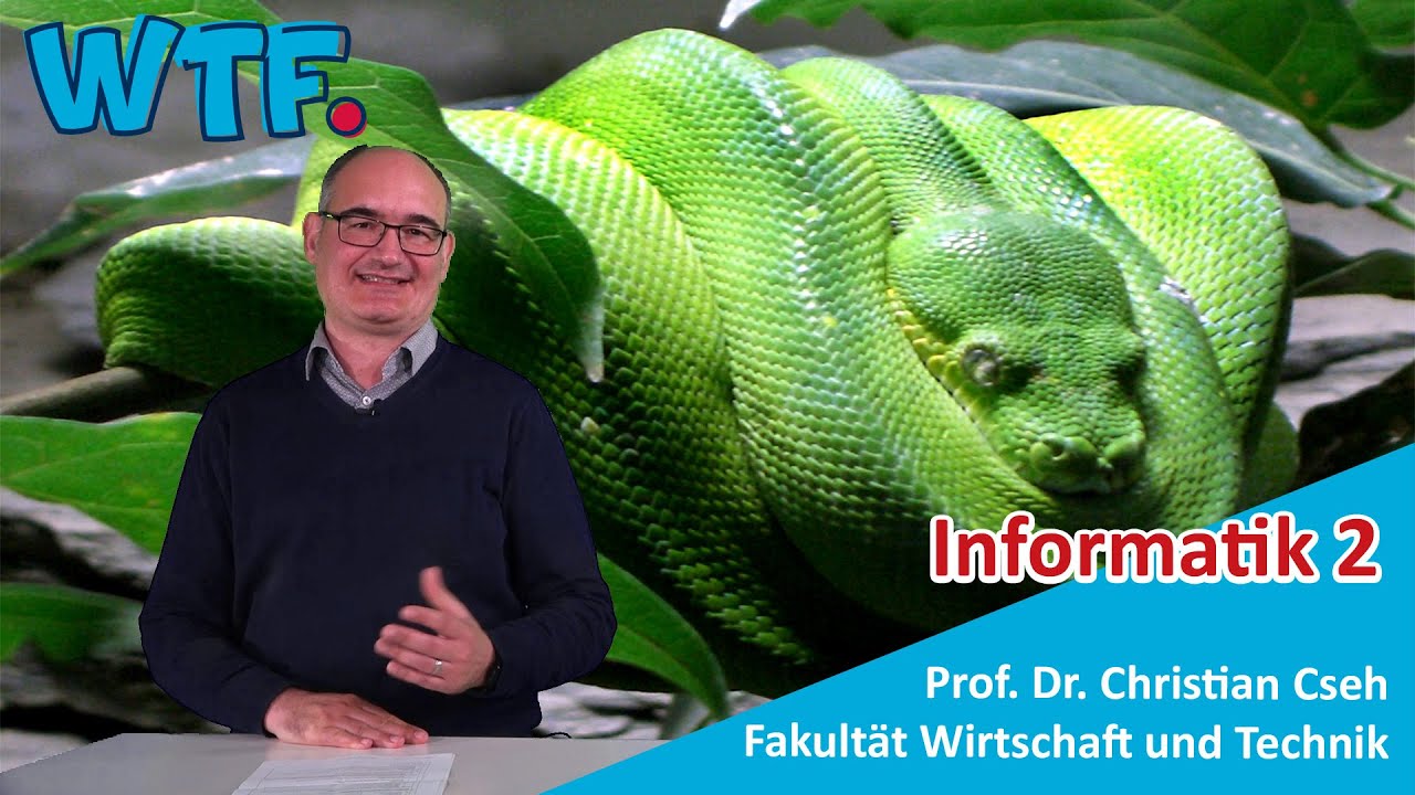 Entdecke die Gemeinsamkeiten von Schlangen und Programmiersprachen 🐍 in der Informatik 2 Vorlesung in Göppingen