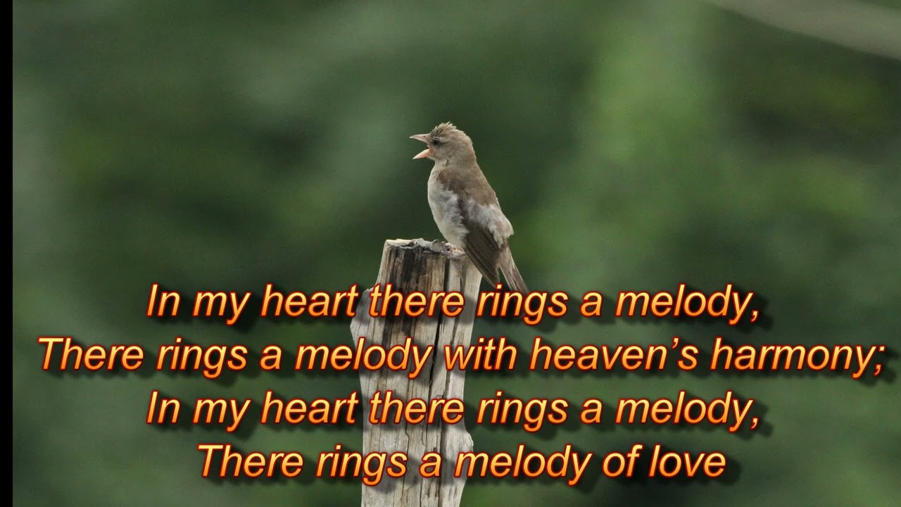 A Song Given by Jesus 🎶