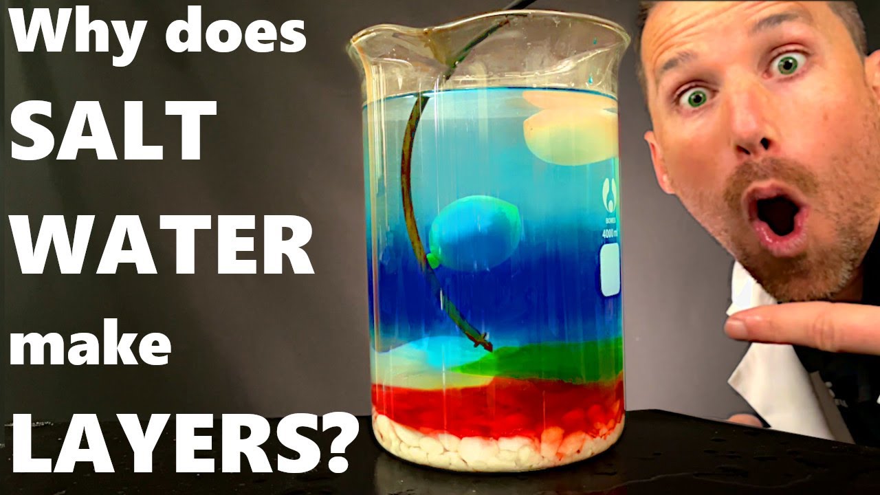 Salt Water Density Experiment π
