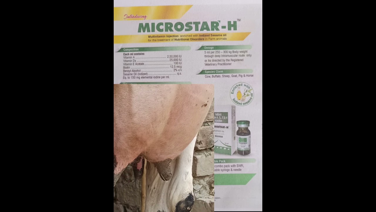 Microstar-H Inj #Ruminent_Animals #PetAnimals  #poltery  #Cow  #Buffalo #Reels