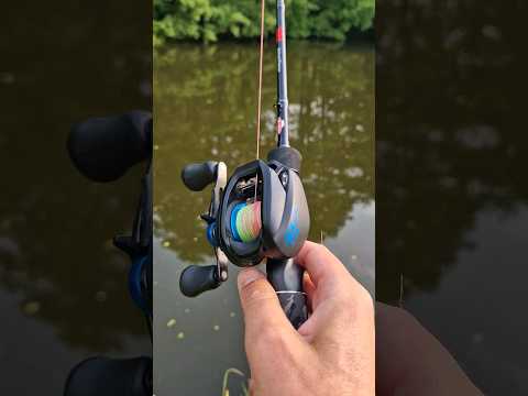 Shimano SLX DC Casting TINY Lure (BFS??)👌 #shorts #fishing