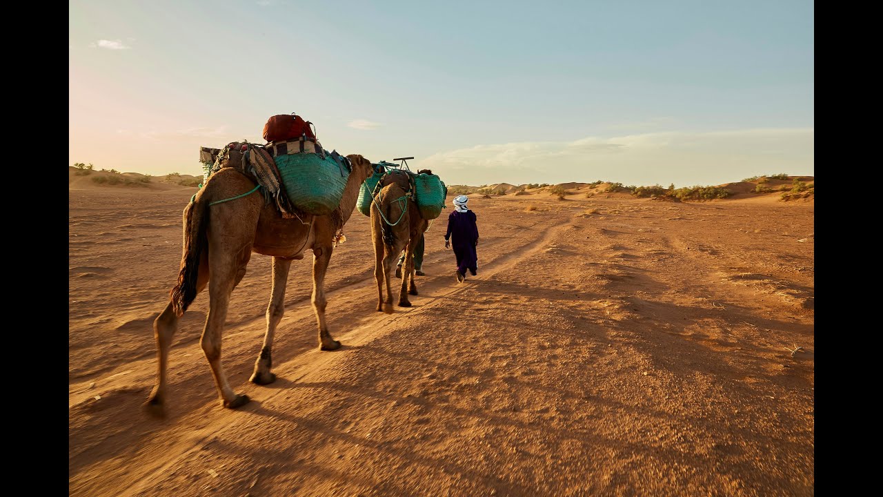 Morocco Series Part 1: M’Hamid, Last Village Before Sahara 🇲🇦