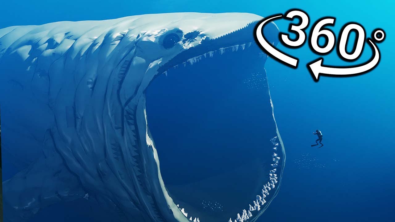 360° VR Experience: BLOOP Eats You 🌊