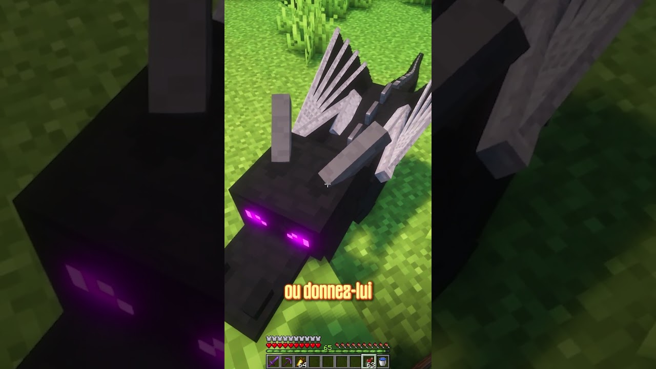 Éclore un œuf de DRAGON dans Minecraft 🐉