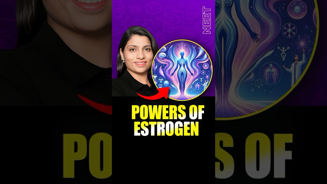 Estrogen's Role in NEET Biology 📚