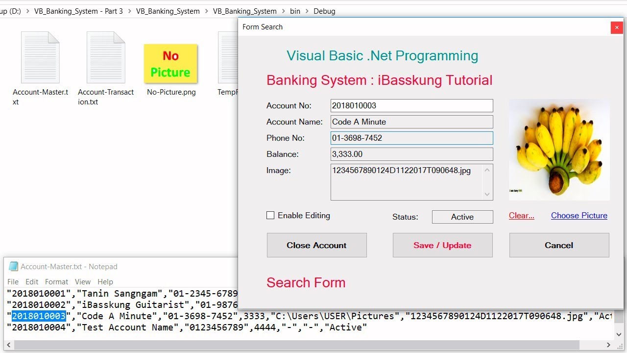 Bank Management System in VB.NET & CSV (Part 3/3)