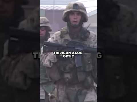 Why Were Marines Hitting Headshots?