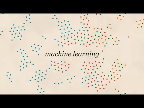 3 types of bias in AI | Machine learning