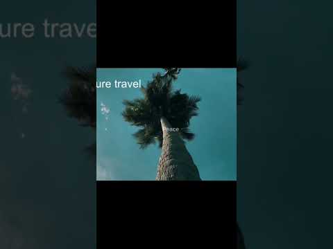 🌿✨ "Wander Through Nature’s Lens" 🌄#NatureTravel 🎥 #CinematicVibes  #TravelInFrames #EpicNatureShots