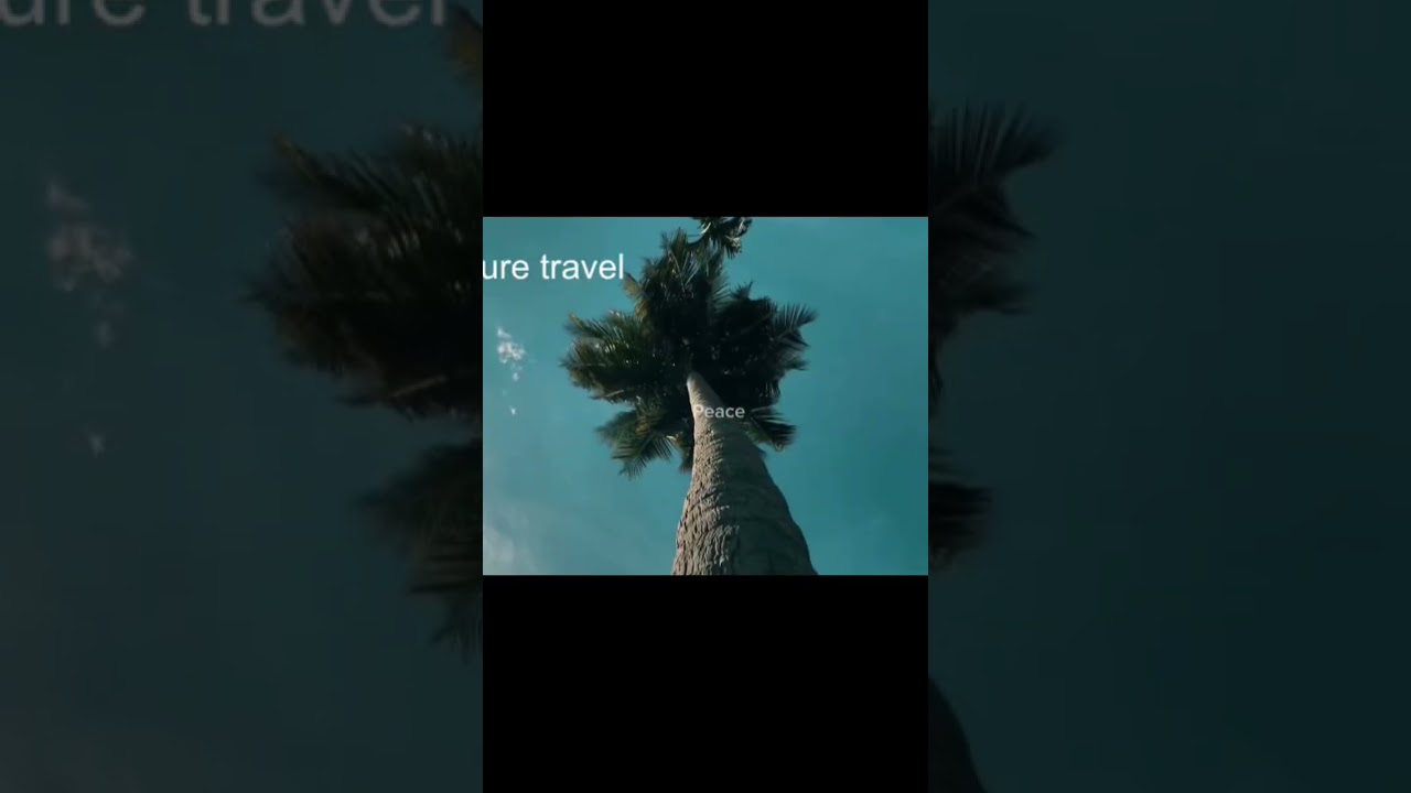 Explore Stunning Nature Scenes in 4K | Cinematic Travel Vlogs ๐ฟ