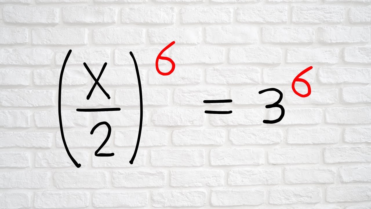 Germany's Challenging Algebra Puzzle 🇩🇪 | Perfect for Math Olympiad Enthusiasts