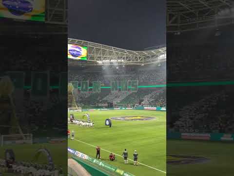 Mosaico da torcida do Palmeiras no Allianz Parque contra o Juventude
