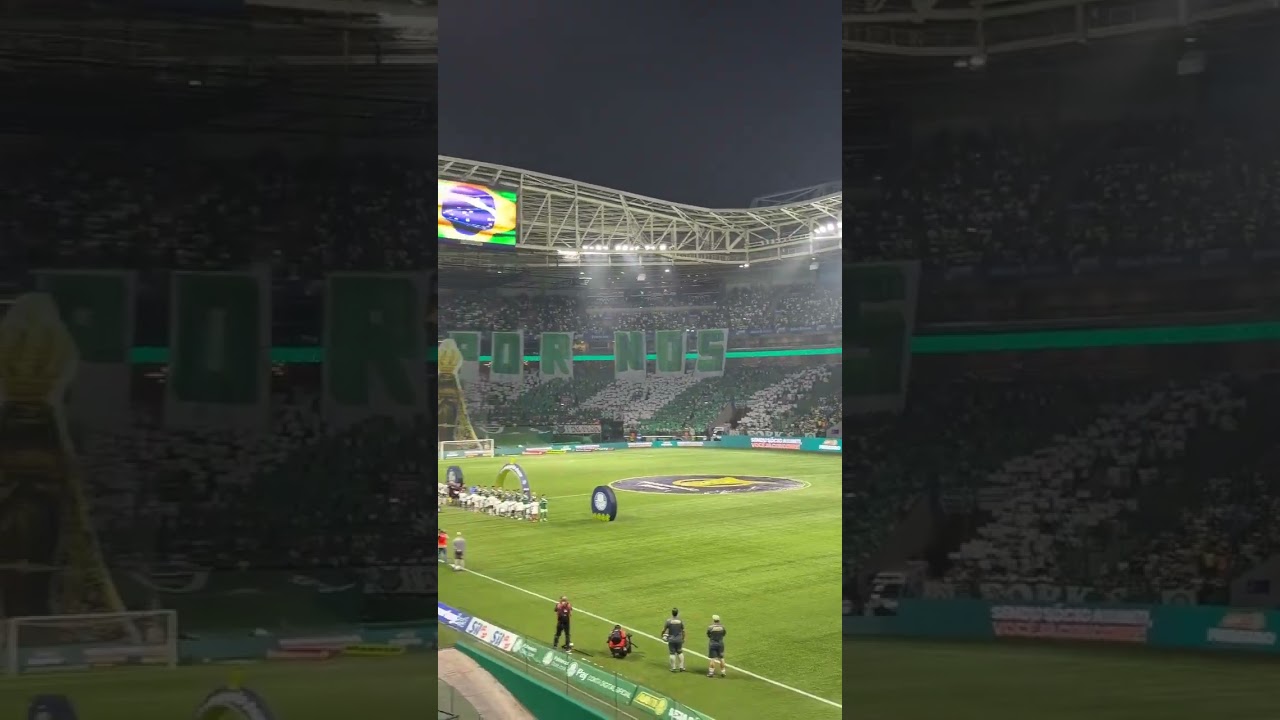Incrível Mosaico da Torcida do Palmeiras no Allianz Parque contra o Juventude ⚽