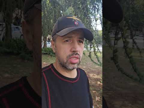 КЕДР АТЛАССКИЙ (Cedrus Atlantica)