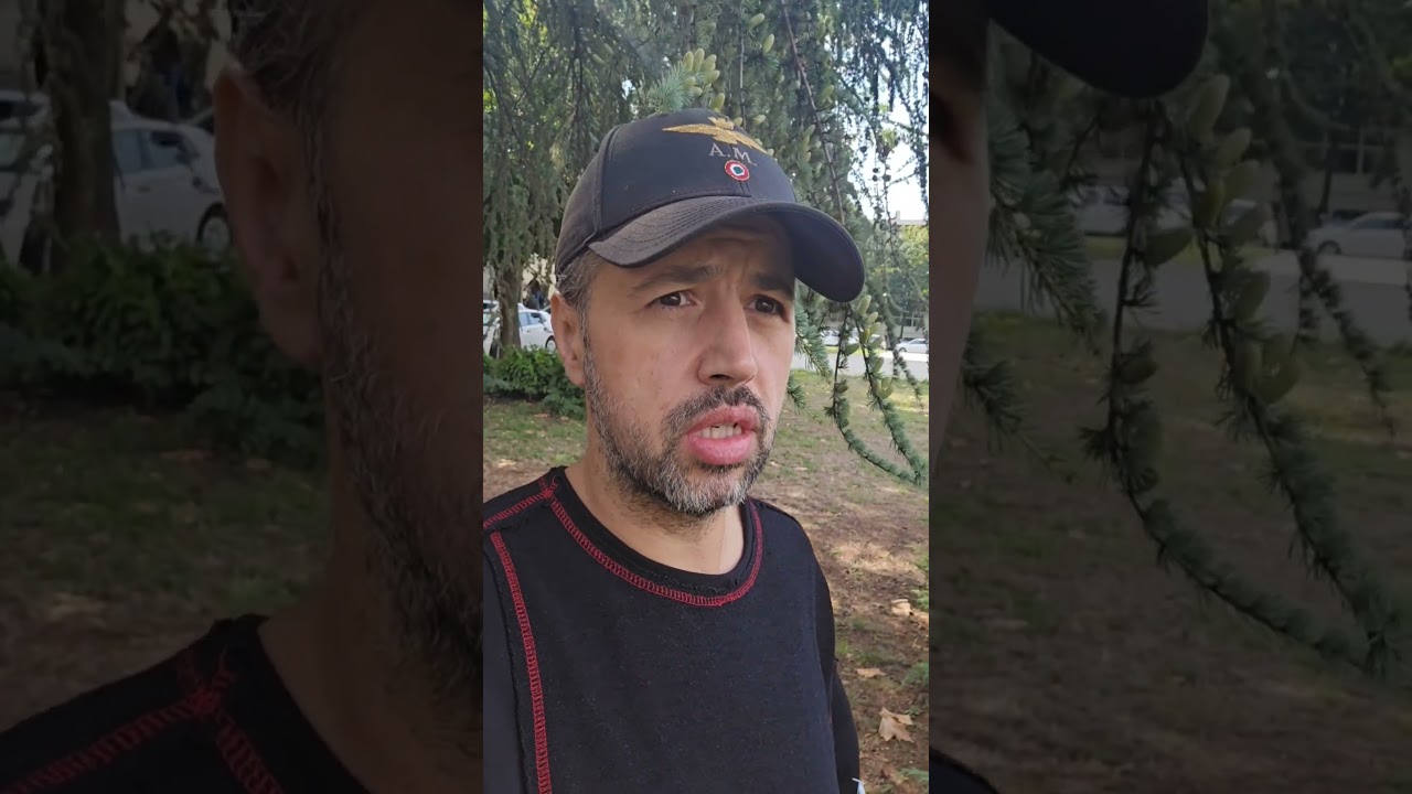 Кедр Атласский: Величественное дерево для вашего сада 🌲