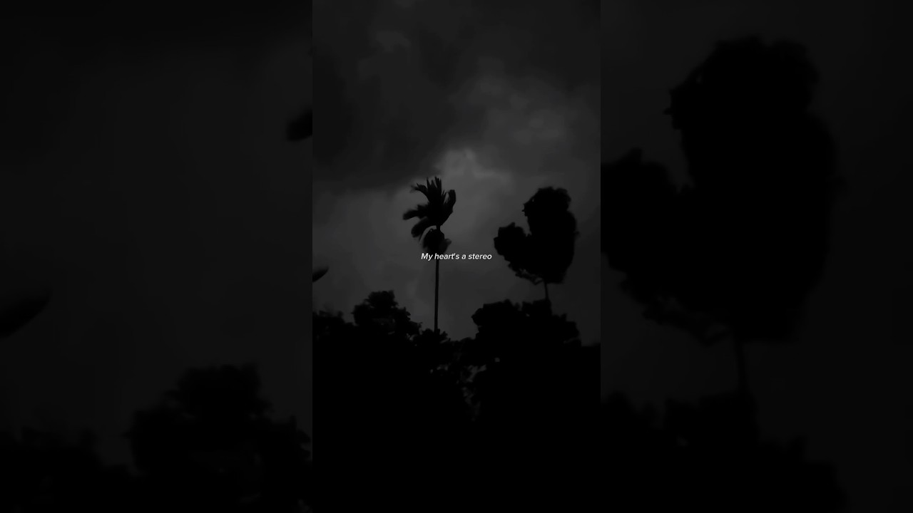 Gym Class Heroes - Stereo Hearts 🎶