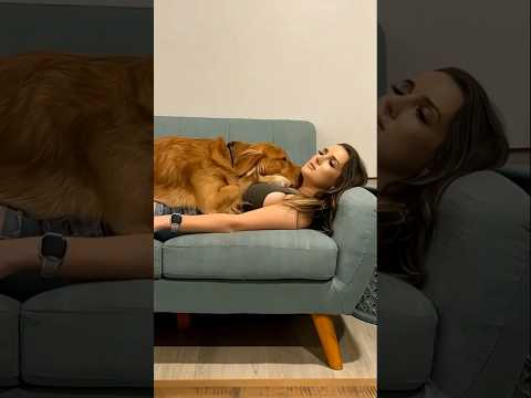 Dog playing with Jecika #doglife #puppy #shorts #shots #love #dog #pet #funny #adorably
