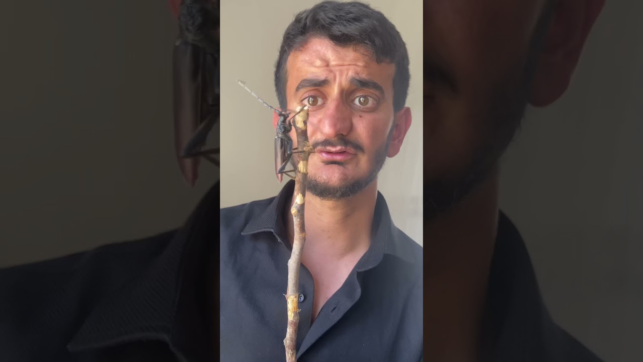 İşte Hiç Görmediğiniz Bir Böcek! 🐞 #Shorts