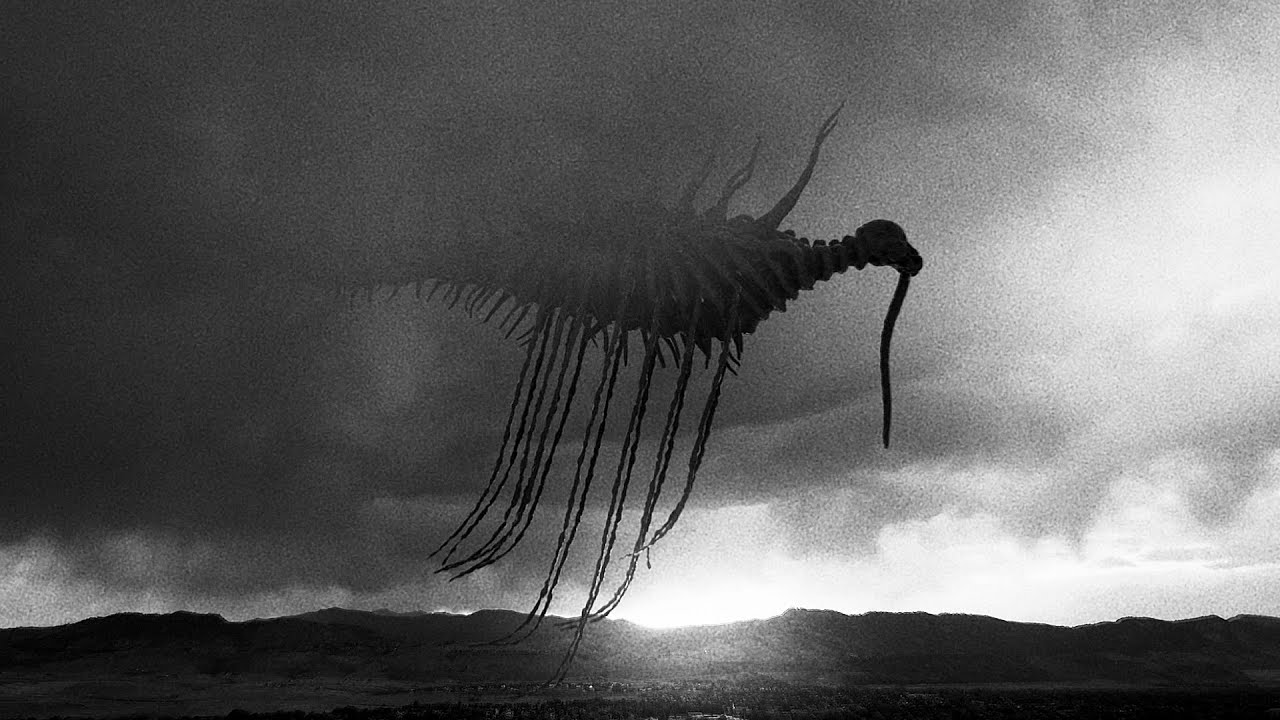 Quiet Apocalypse: No AI Imagery Used 🎥