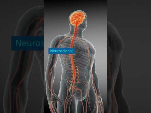 The 5 Major Neuroscience Fields #Molecular #Cellular #System #Behavioral #Cognitive #Neuroscience