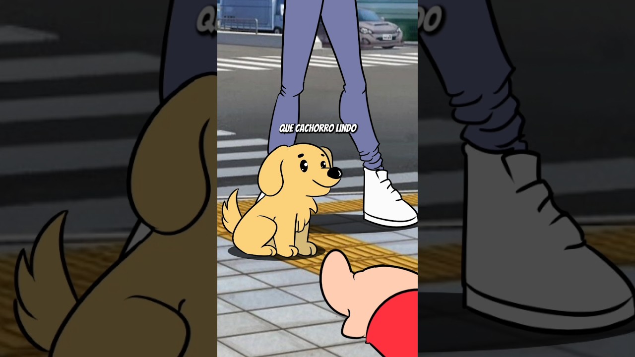 CACHORRO SINCERO