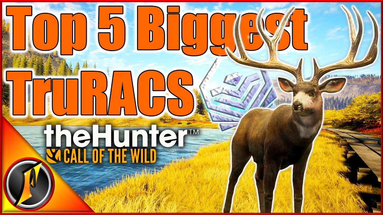 Our TOP 5 Biggest Antlered TruRACS Diamonds Ever!