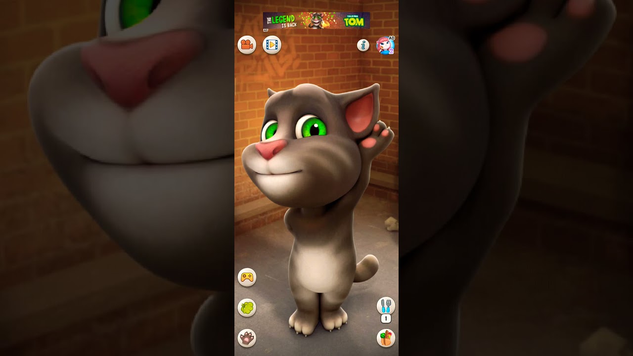 Tom's Funny Voice Talk for Munni and Darling 😂