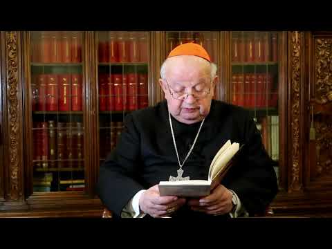Kardynał Stanisław Dziwisz czyta "Pamięć i tożsamość" Jana Pawła II