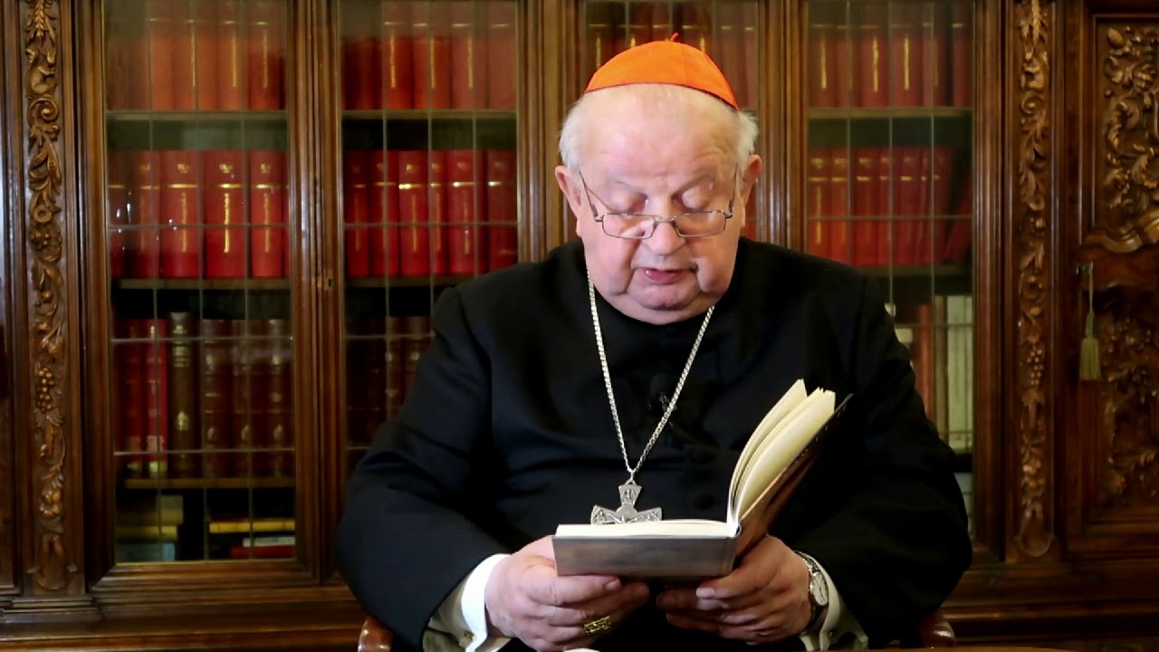 Kardynał Stanisław Dziwisz czyta