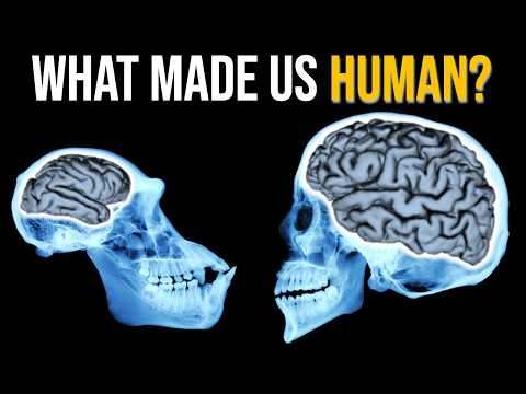 The Evolution Of Intelligence: 5 Key Breakthroughs