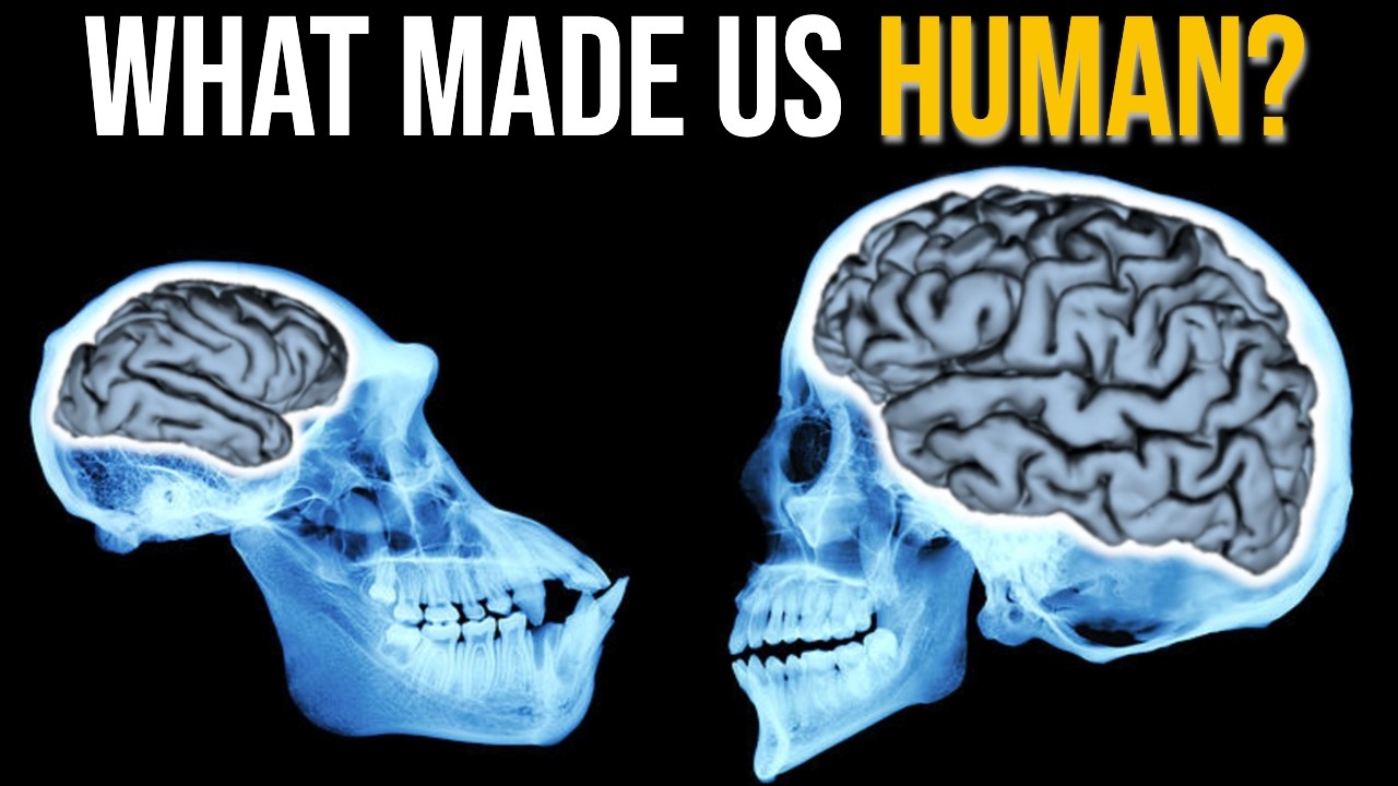 The Evolution of Intelligence: 5 Major Breakthroughs That Changed Everything 🤯