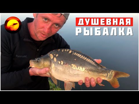 Душевная рыбалка с ночевкой / Не смогли поднять садок