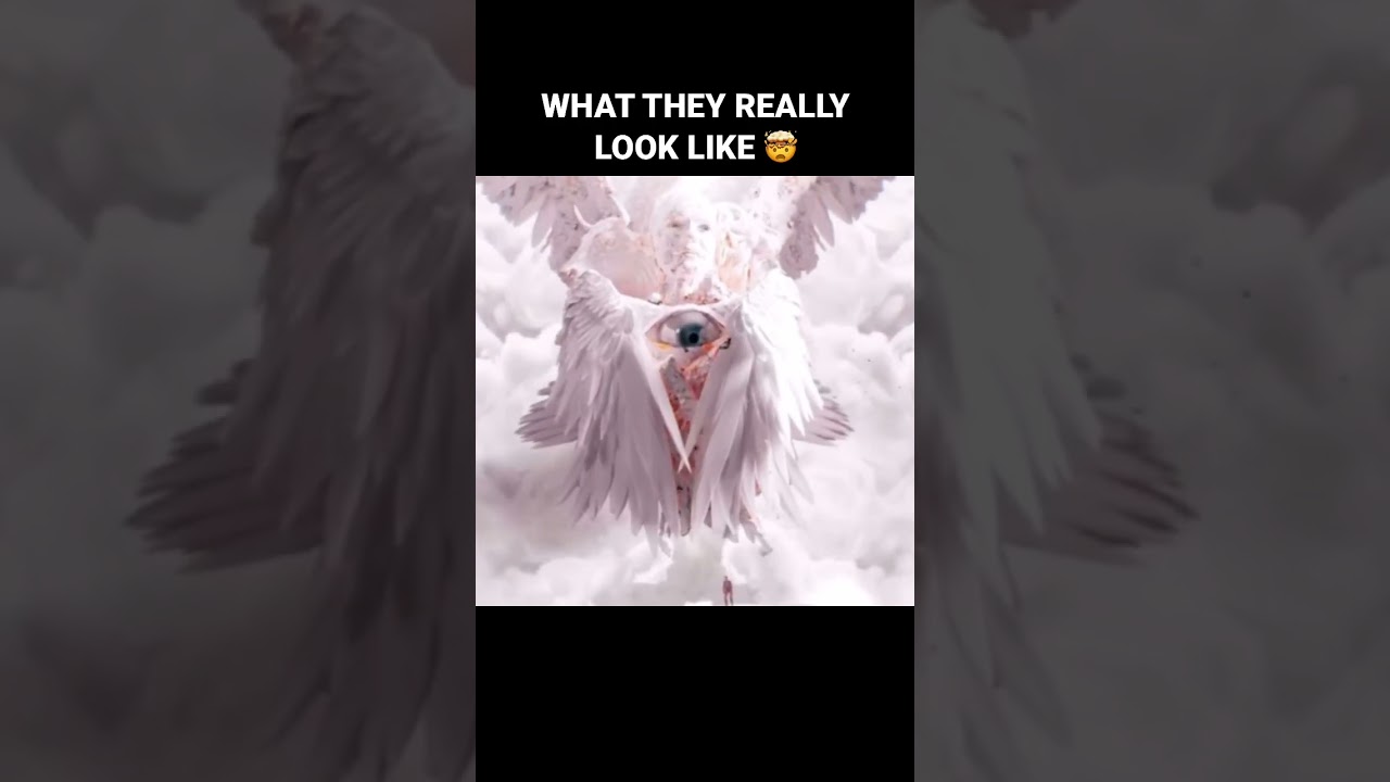 What Do Angels Really Look Like? 🤯