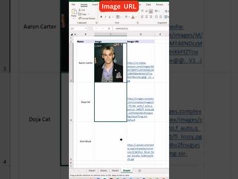 Image URL in Excel