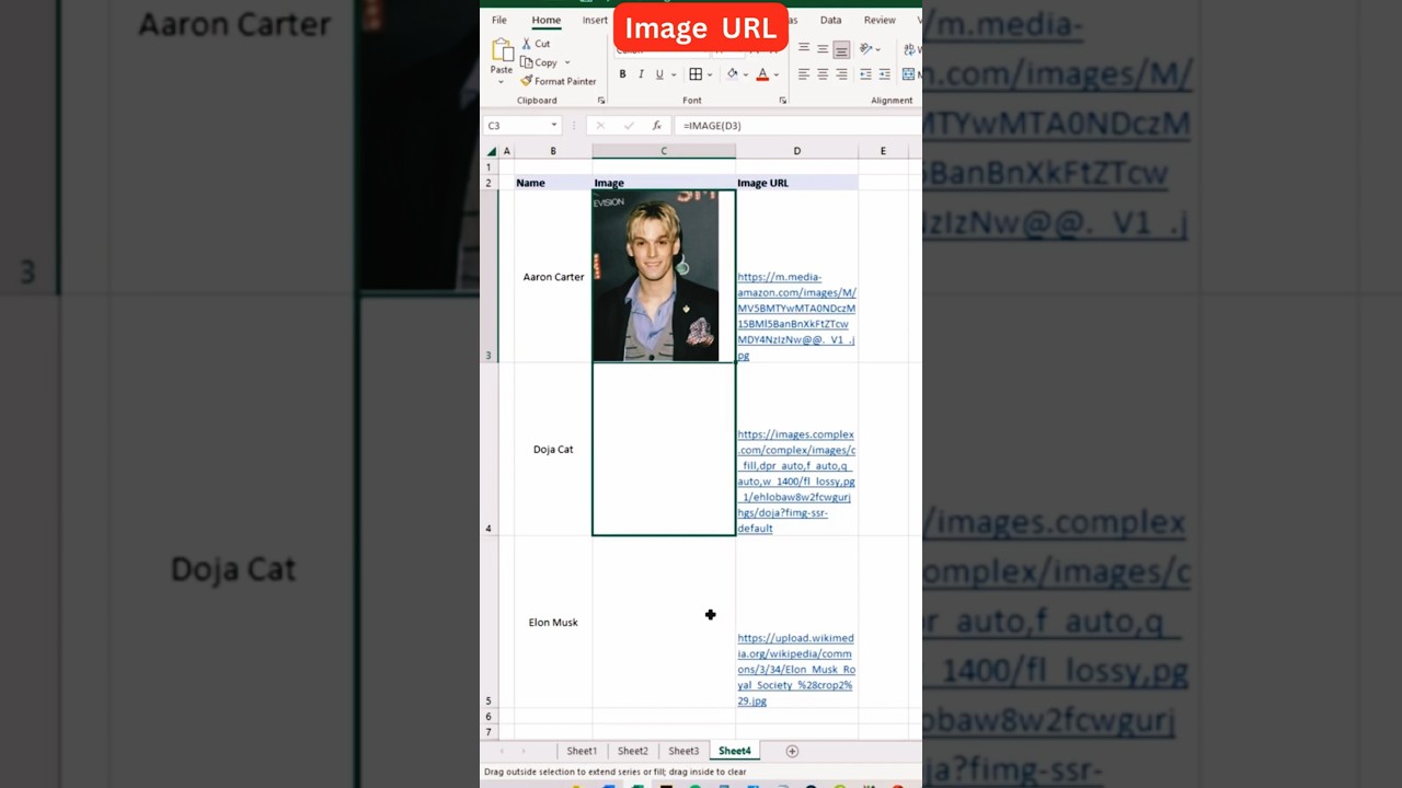 Insert and Manage Images in Excel ๐