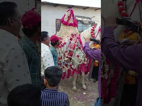 dulhe raja #sonavlogs