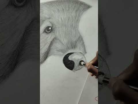 hyperrealistic dog nose #shorts #youtubeshorts #art #drawing #shortsvideo #viral