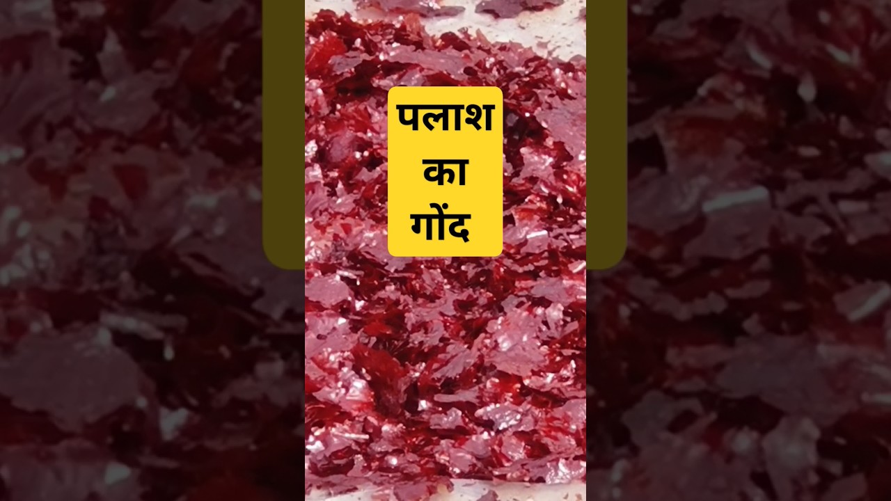 पलाश का गोंद और लहसुन मंडी भाव 🌾