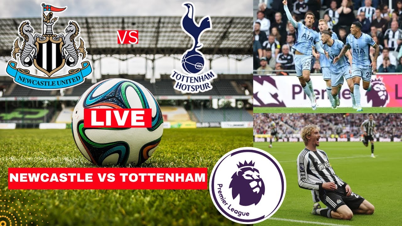 Newcastle vs Tottenham 2-2 Live Score & Highlights ⚽