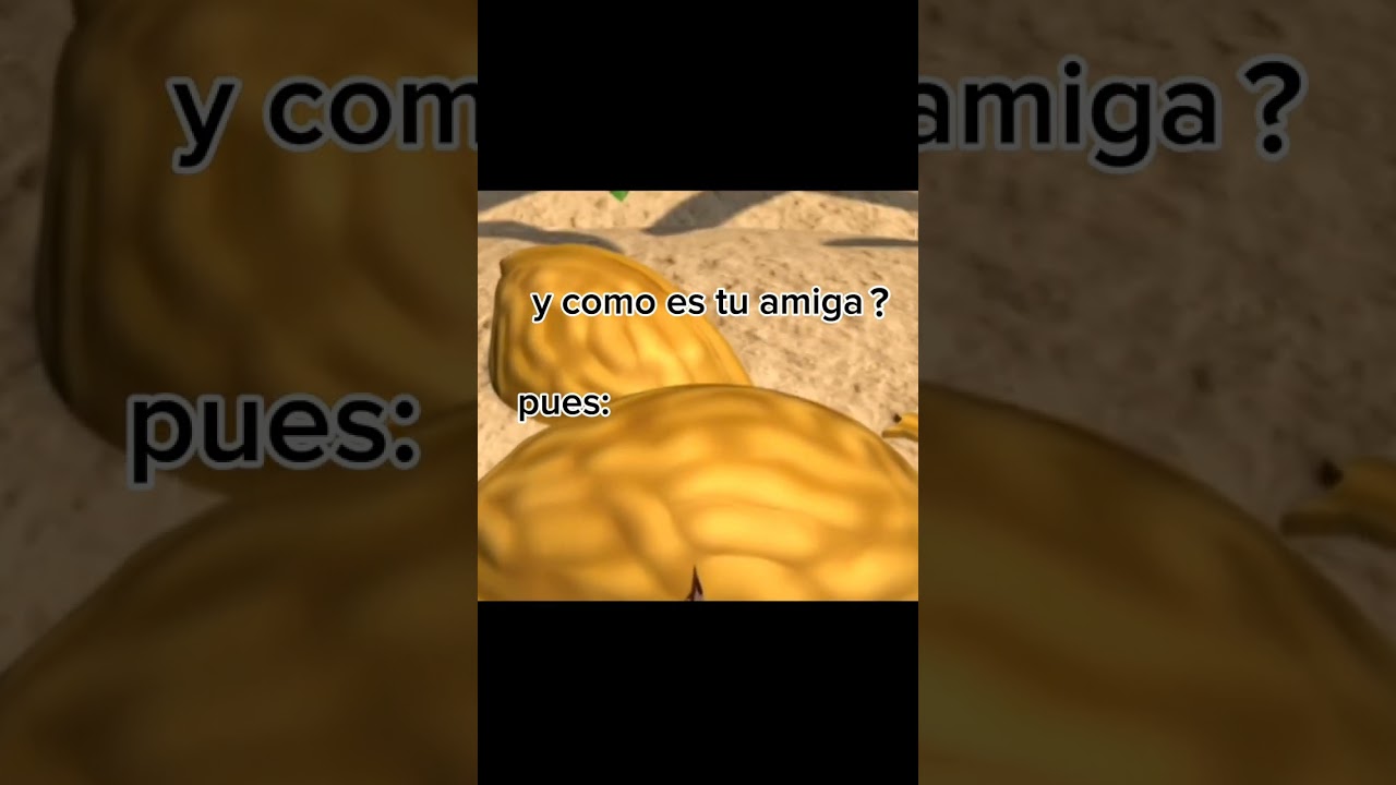 Pulga Aventurera en la Música 🎶