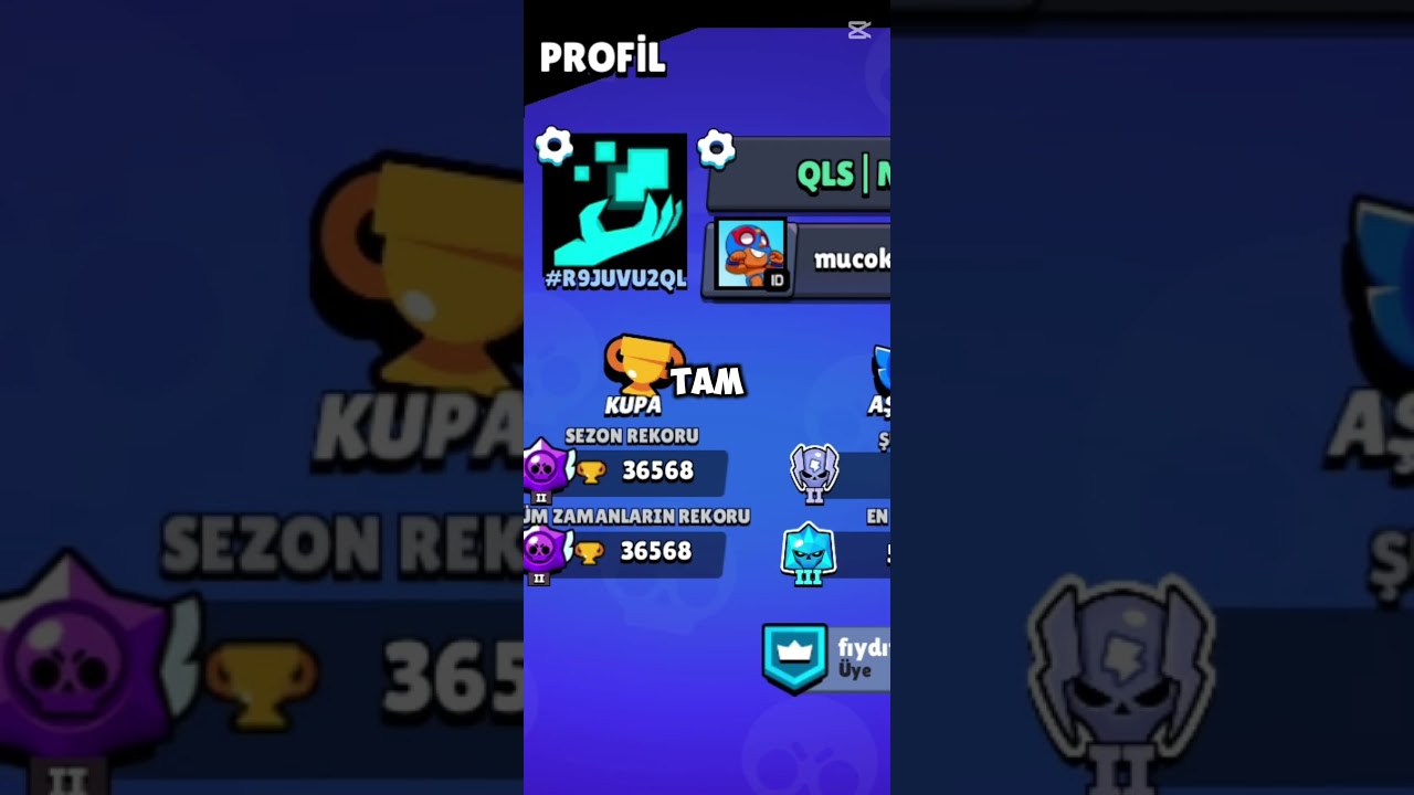 Üç Arkadaşın Hikayesi