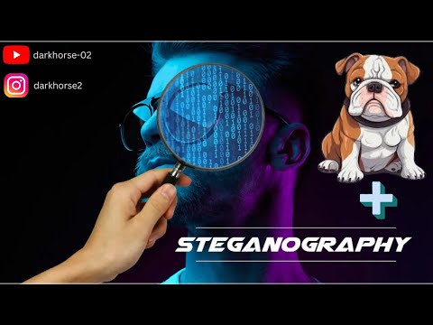 Steganography In Kali Linux | How TO Hide Data in an image | Steghide Tutorial | #darkhorse