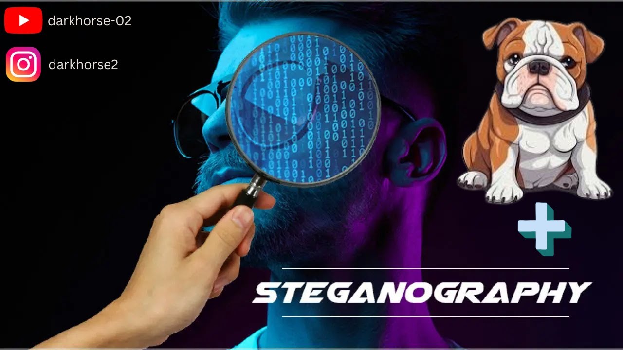 Master Steganography in Kali Linux: Hide Data in Images with Steghide 🖼️