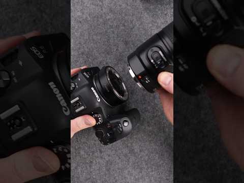 Try this lens mount adapter to make your  canon EF lenses work on  new Canon RF mount camera
