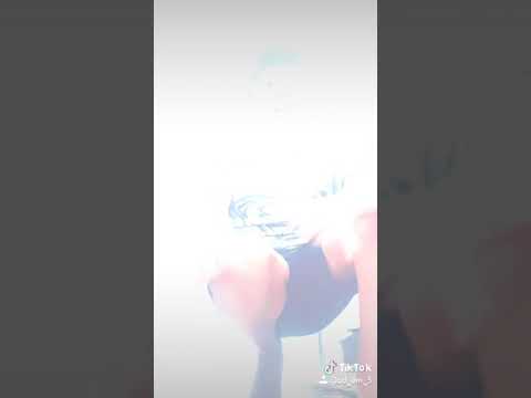 Enti wink wa9t el bard kleni